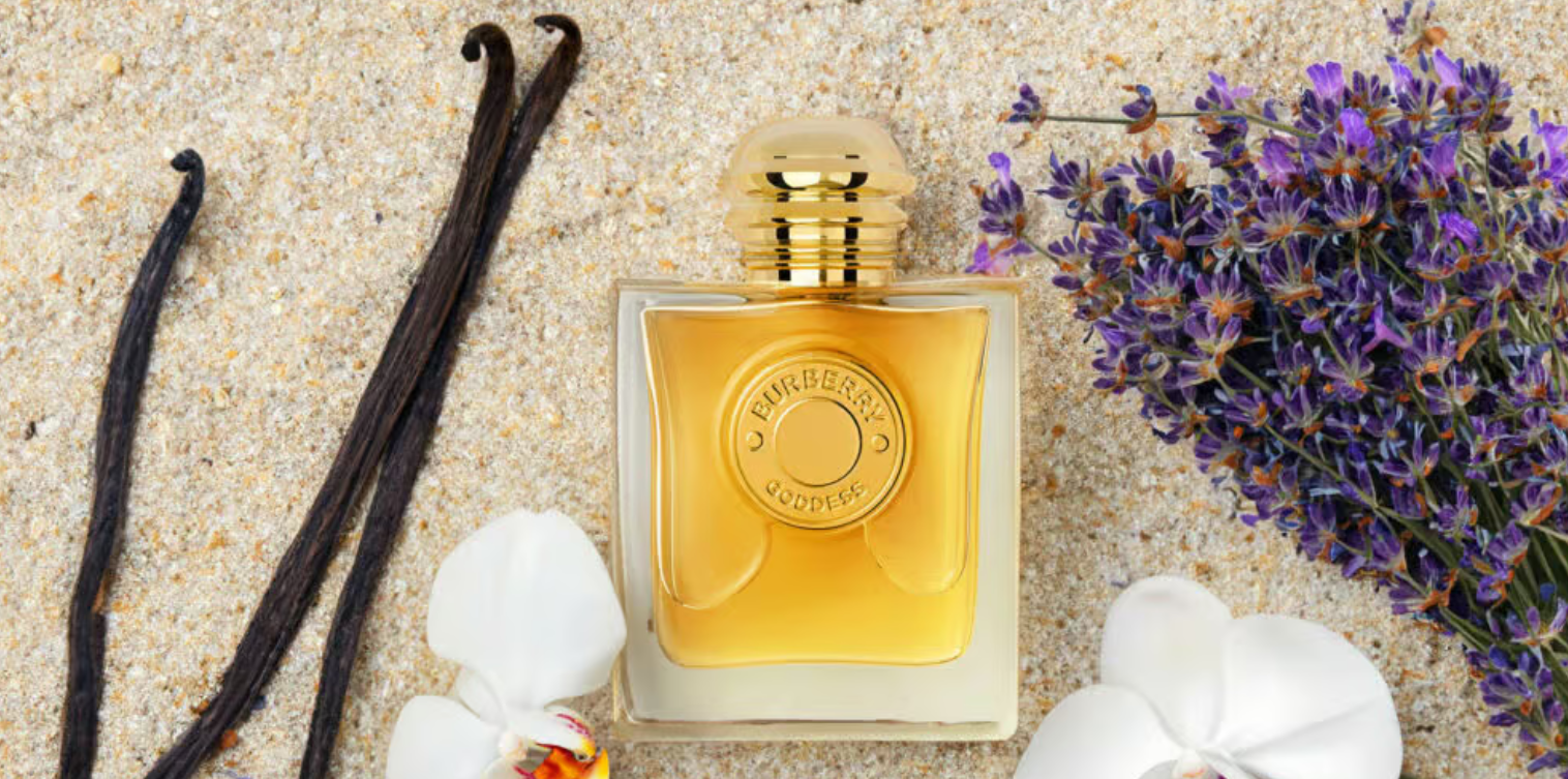 Screenshot 2025-06-09 010828