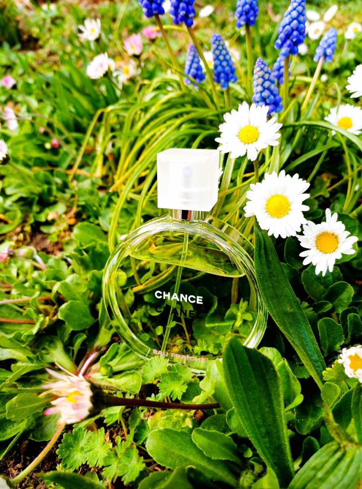 Screenshot 2025-06-15 230403