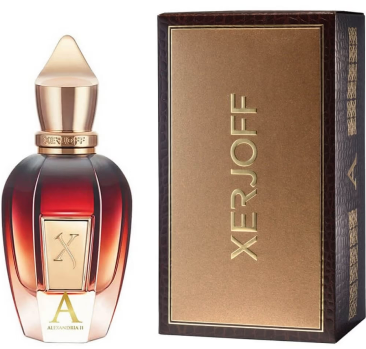 Screenshot 2025-03-25 225010