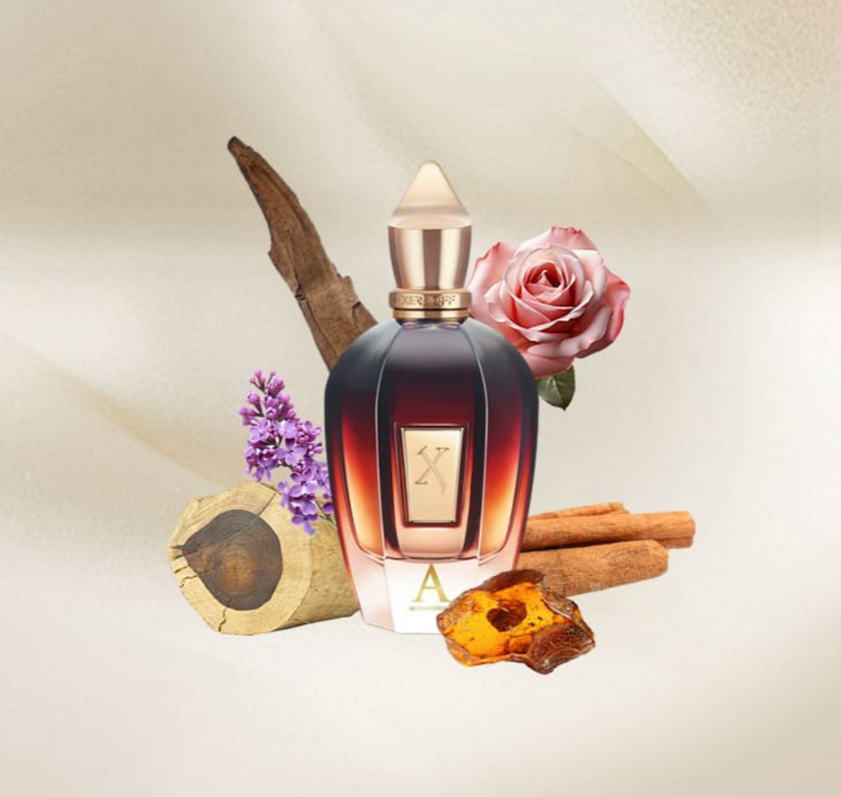 Screenshot 2025-06-09 010010