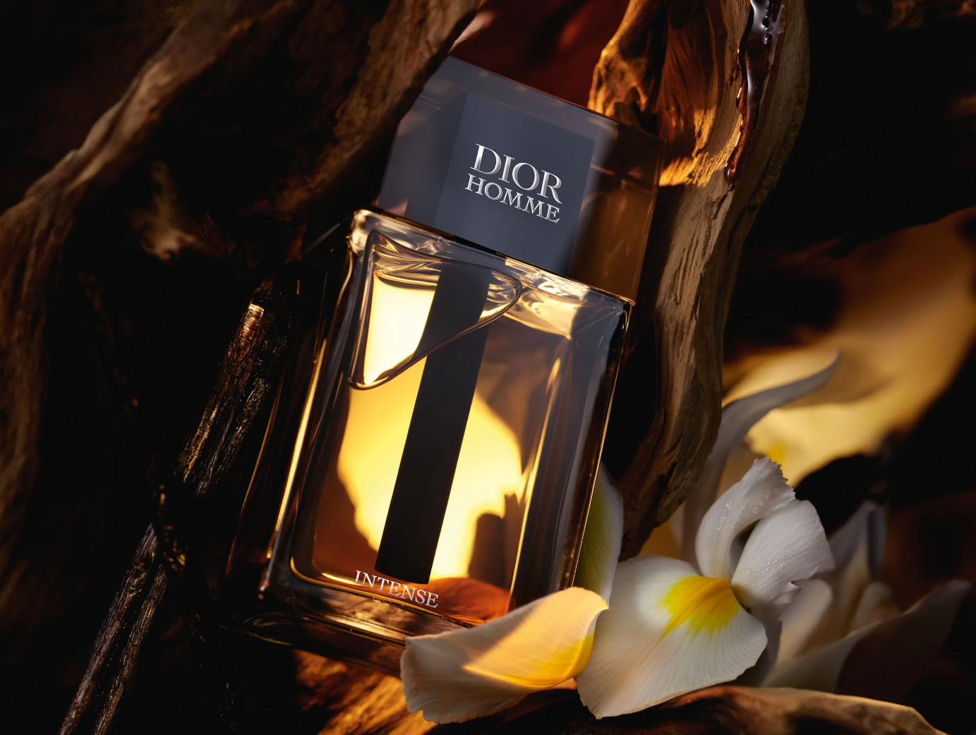 Screenshot 2025-06-09 220339