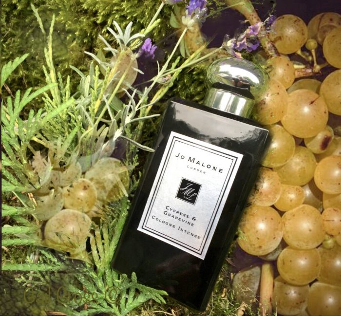 Jo-Malone-Cypress-and-Grapevine-review-1-700x649