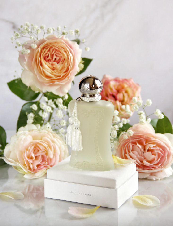 Screenshot 2025-06-11 183605